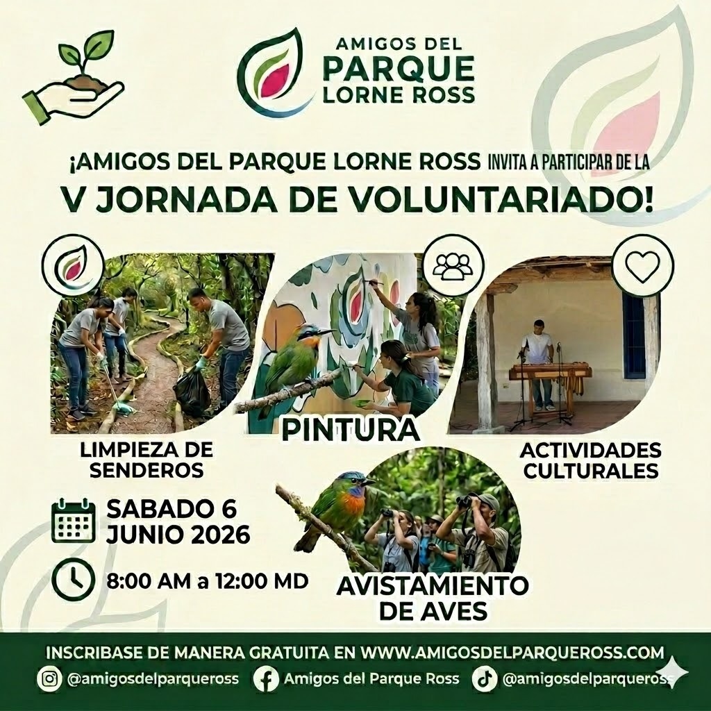 Afiche V Jornada de Voluntariado — Amigos del Parque Ross 6 de Junio